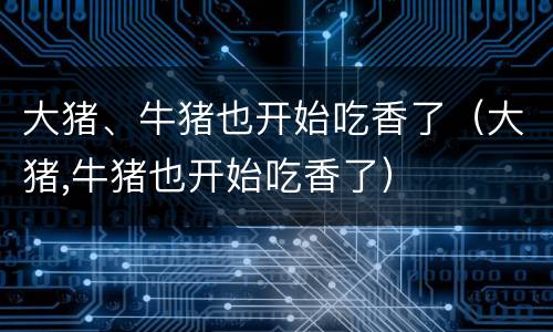 大猪、牛猪也开始吃香了（大猪,牛猪也开始吃香了）