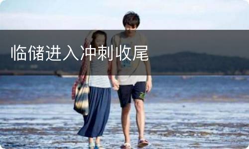 临储进入冲刺收尾