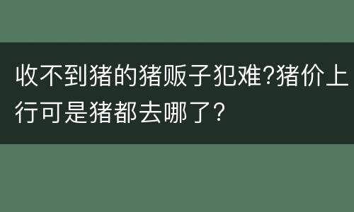 收不到猪的猪贩子犯难?猪价上行可是猪都去哪了?