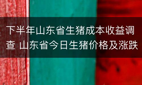 下半年山东省生猪成本收益调查 山东省今日生猪价格及涨跌