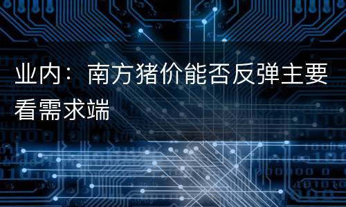 业内：南方猪价能否反弹主要看需求端