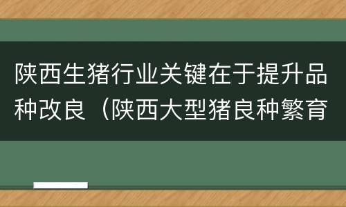 陕西生猪行业关键在于提升品种改良（陕西大型猪良种繁育场）