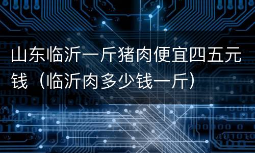 山东临沂一斤猪肉便宜四五元钱（临沂肉多少钱一斤）