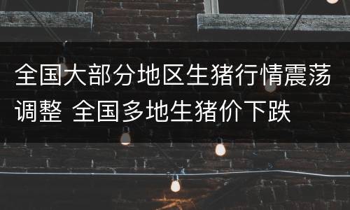 全国大部分地区生猪行情震荡调整 全国多地生猪价下跌