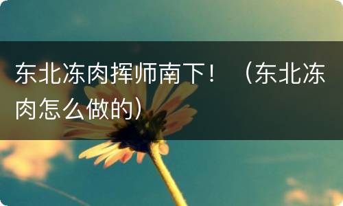 东北冻肉挥师南下！（东北冻肉怎么做的）