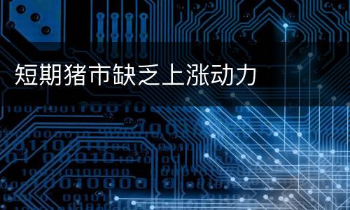 短期猪市缺乏上涨动力