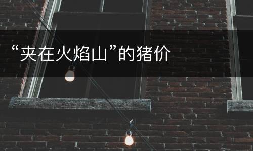 “夹在火焰山”的猪价