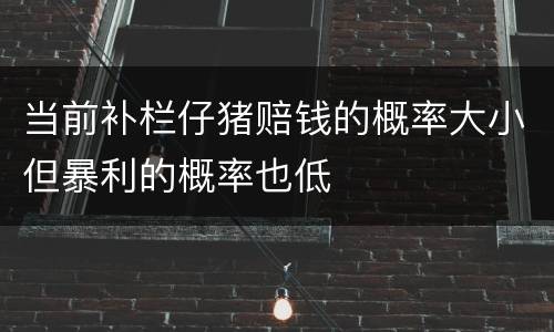 当前补栏仔猪赔钱的概率大小但暴利的概率也低