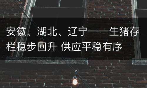 安徽、湖北、辽宁——生猪存栏稳步回升 供应平稳有序