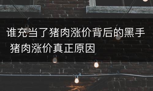 谁充当了猪肉涨价背后的黑手 猪肉涨价真正原因