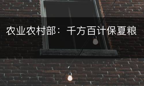 农业农村部：千方百计保夏粮