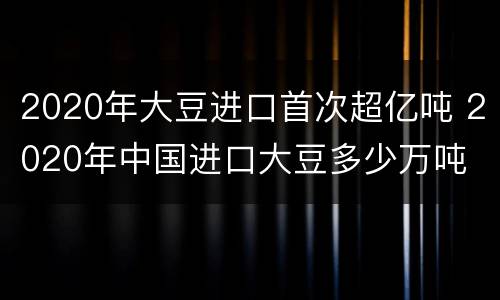 2020年大豆进口首次超亿吨 2020年中国进口大豆多少万吨