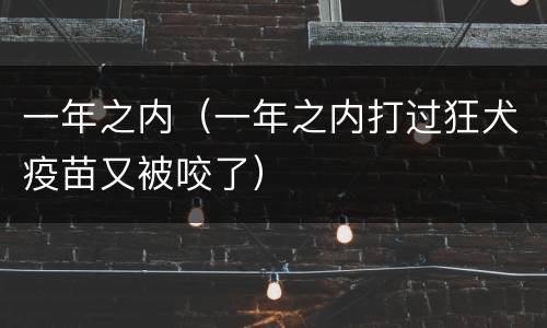 一年之内（一年之内打过狂犬疫苗又被咬了）