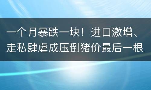 一个月暴跌一块！进口激增、走私肆虐成压倒猪价最后一根稻草