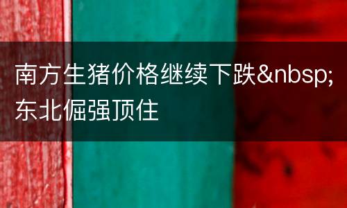 南方生猪价格继续下跌&nbsp;东北倔强顶住
