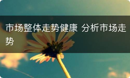 市场整体走势健康 分析市场走势