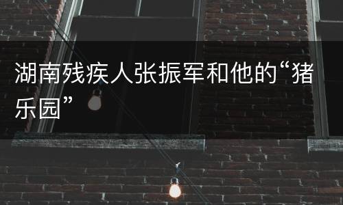 湖南残疾人张振军和他的“猪乐园”