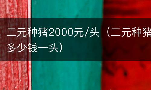 二元种猪2000元/头（二元种猪多少钱一头）