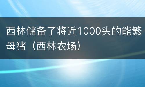 西林储备了将近1000头的能繁母猪（西林农场）