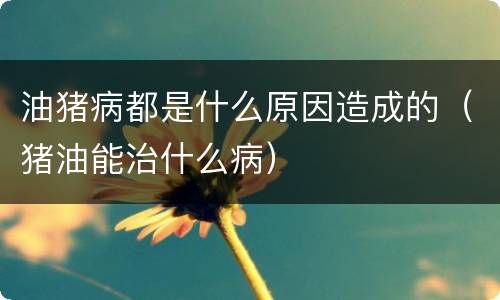 油猪病都是什么原因造成的（猪油能治什么病）