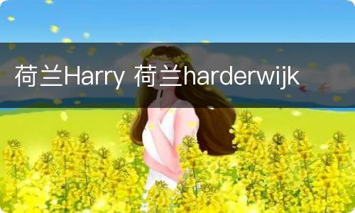 荷兰Harry 荷兰harderwijk