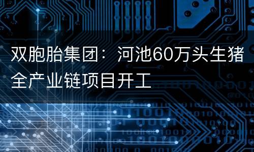 双胞胎集团：河池60万头生猪全产业链项目开工
