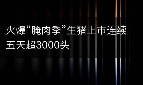 火爆“腌肉季”生猪上市连续五天超3000头