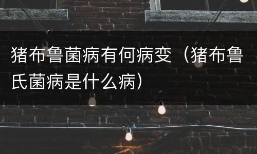 猪布鲁菌病有何病变（猪布鲁氏菌病是什么病）