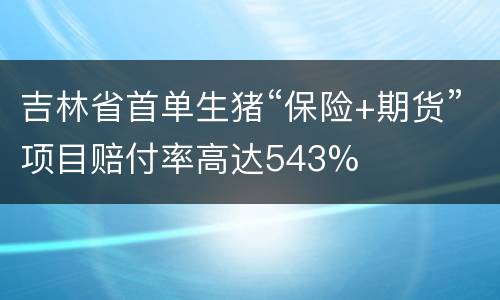 吉林省首单生猪“保险+期货”项目赔付率高达543%