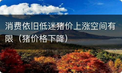 消费依旧低迷猪价上涨空间有限（猪价格下降）