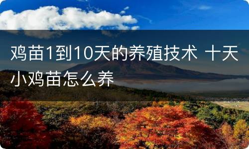 鸡苗1到10天的养殖技术 十天小鸡苗怎么养