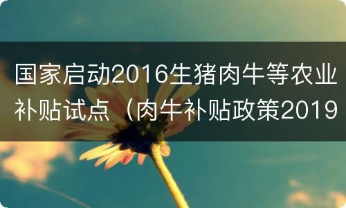 国家启动2016生猪肉牛等农业补贴试点（肉牛补贴政策2019）