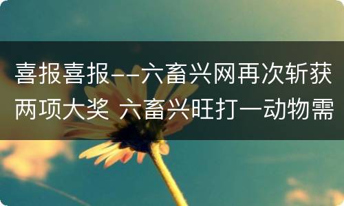喜报喜报--六畜兴网再次斩获两项大奖 六畜兴旺打一动物需正确答案