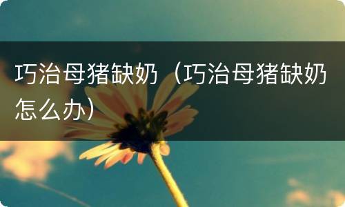 巧治母猪缺奶（巧治母猪缺奶怎么办）