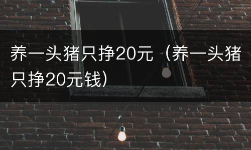 养一头猪只挣20元（养一头猪只挣20元钱）
