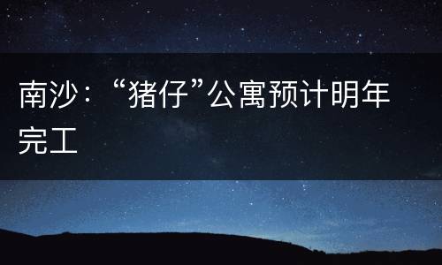 南沙：“猪仔”公寓预计明年完工