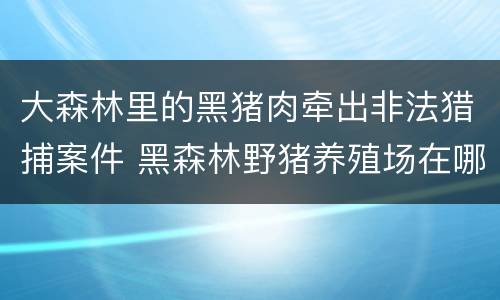 大森林里的黑猪肉牵出非法猎捕案件 黑森林野猪养殖场在哪里