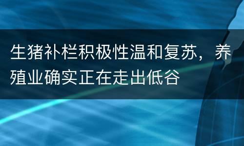 生猪补栏积极性温和复苏，养殖业确实正在走出低谷
