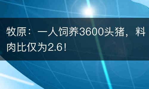 牧原：一人饲养3600头猪，料肉比仅为2.6！
