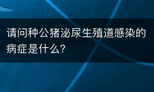 请问种公猪泌尿生殖道感染的病症是什么？