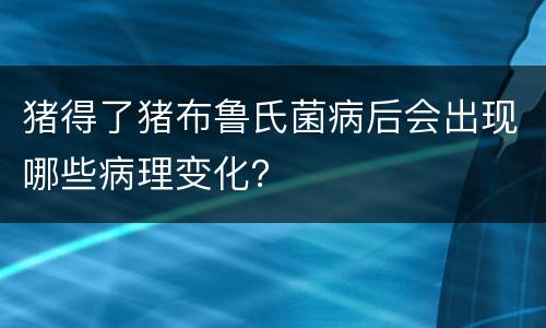 猪得了猪布鲁氏菌病后会出现哪些病理变化？