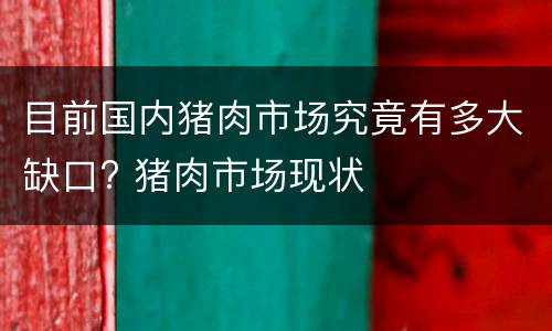 目前国内猪肉市场究竟有多大缺口? 猪肉市场现状