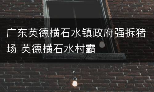 广东英德横石水镇政府强拆猪场 英德横石水村霸