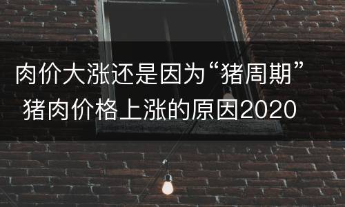 肉价大涨还是因为“猪周期” 猪肉价格上涨的原因2020