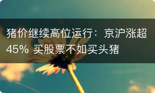 猪价继续高位运行：京沪涨超45% 买股票不如买头猪