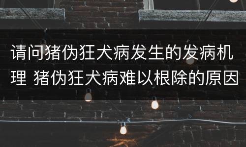请问猪伪狂犬病发生的发病机理 猪伪狂犬病难以根除的原因是什么