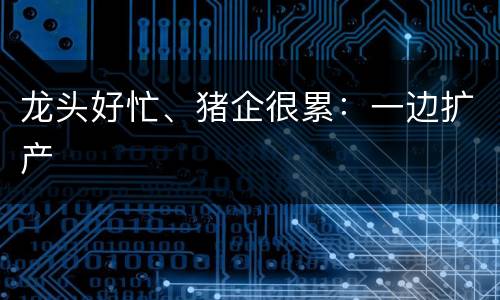 龙头好忙、猪企很累：一边扩产