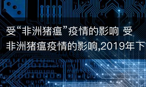 受“非洲猪瘟”疫情的影响 受非洲猪瘟疫情的影响,2019年下半年猪肉价格