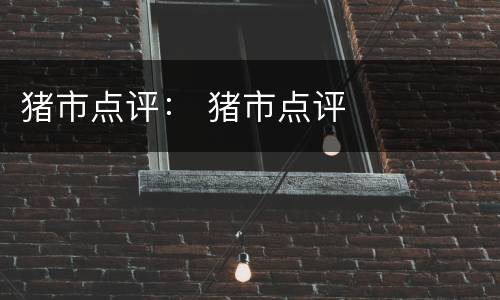 猪市点评： 猪市点评