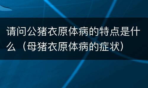 请问公猪衣原体病的特点是什么（母猪衣原体病的症状）